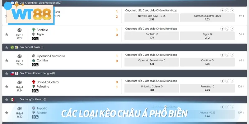Tổng hợp các loại kèo bóng châu Á phổ biến tại nhà cái
