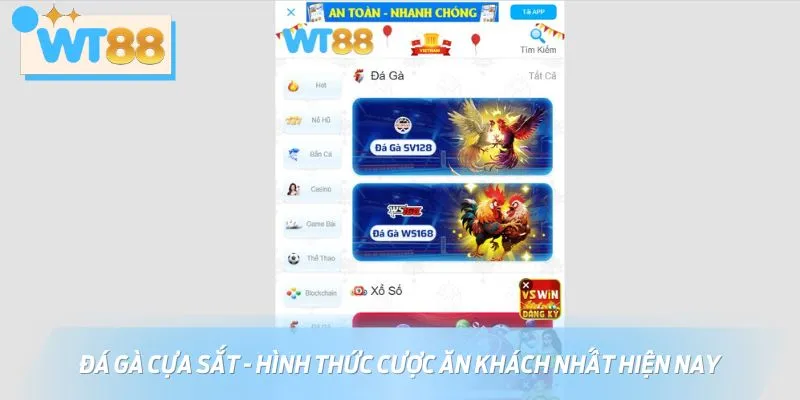 Đá gà cựa sắt là loại hình cá cược thu hút đông đảo bet thủ hiện nay