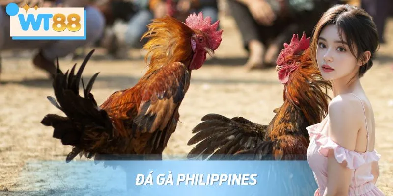 Luật Chơi Đá Gà Philippines Và Mẹo Cược Bất Bại Từ Cao Thủ