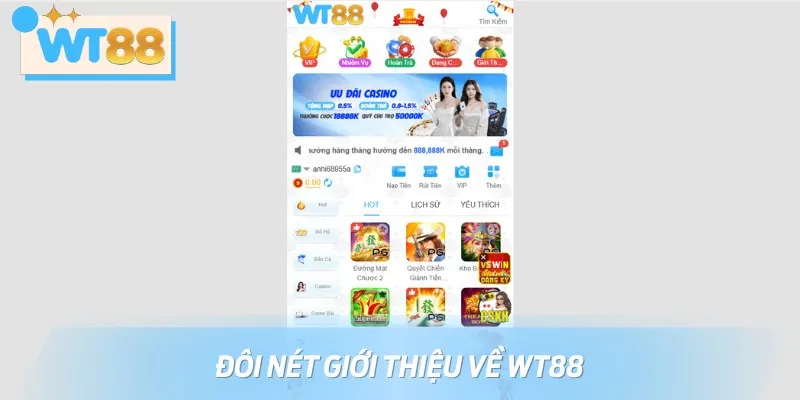 Một vài thông tin giới thiệu tổng quan về nhà cái trực tuyến